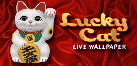 lucy cat wallpaper|[41+] Lucky Cat Wallpapers .